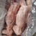 肥猪带腱后腿骨，11500元一吨水产到货，5吨10k