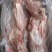 肥猪带腱后腿骨，11500元一吨水产到货，5吨10k