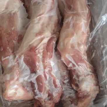 肥猪带腱后腿骨，11500元一吨水产到货，5吨10k