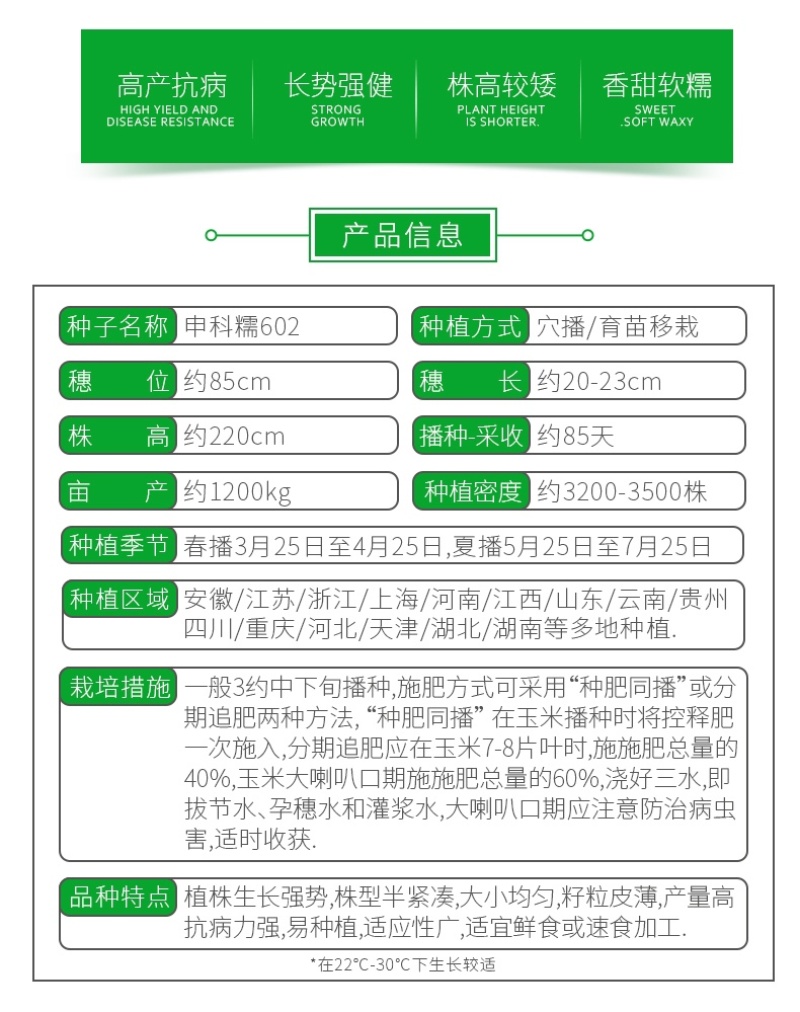 申科糯玉米602种子，糯中带甜，高叶酸，非转基因杂交一代