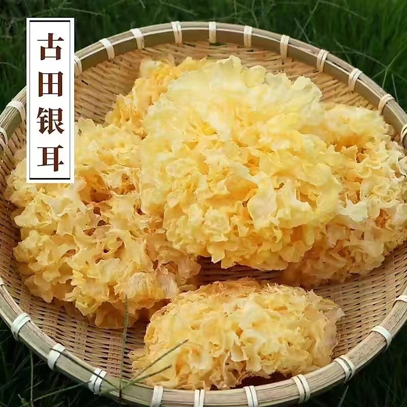 古田银耳天然无硫大量现货厂地直销规格齐全全国发货欢迎合作