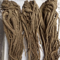 当归个甘肃岷县特产规格齐全新货质量保证产地直供现货