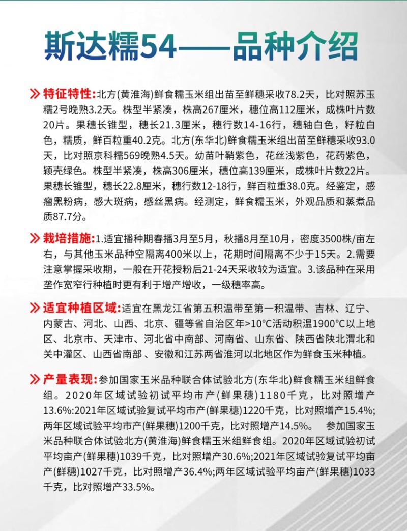 斯达糯玉米54-白甜糯玉米种子杂交早熟高产甜糯
