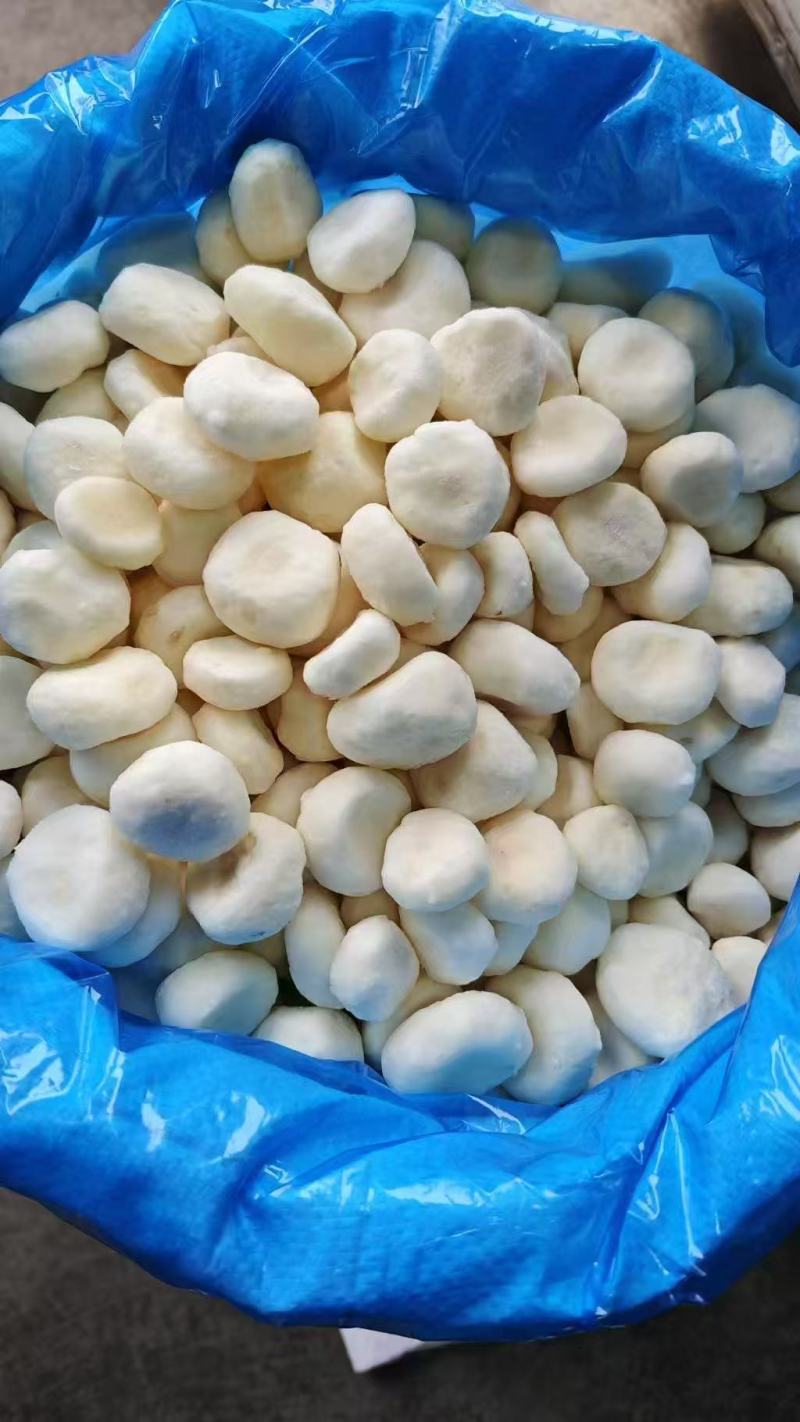 厂家批发速冻优品白马蹄，口感好清甜爽脆化渣，库存100吨