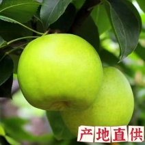 精品绿宝石产地直供代收代加工诚信代办量大从优