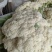 加工厂！散花加工厂货