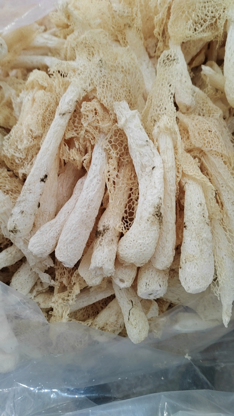 福建省古田县食用菌之都