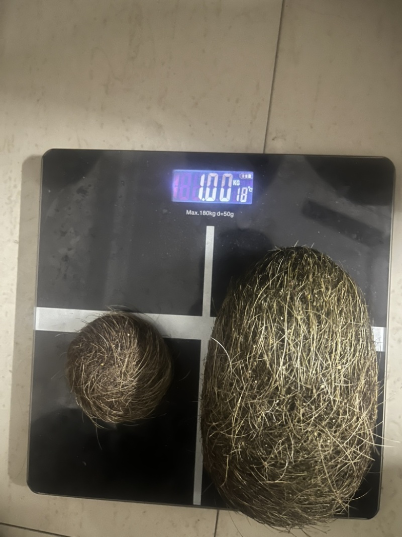 出，自己猪里出来
