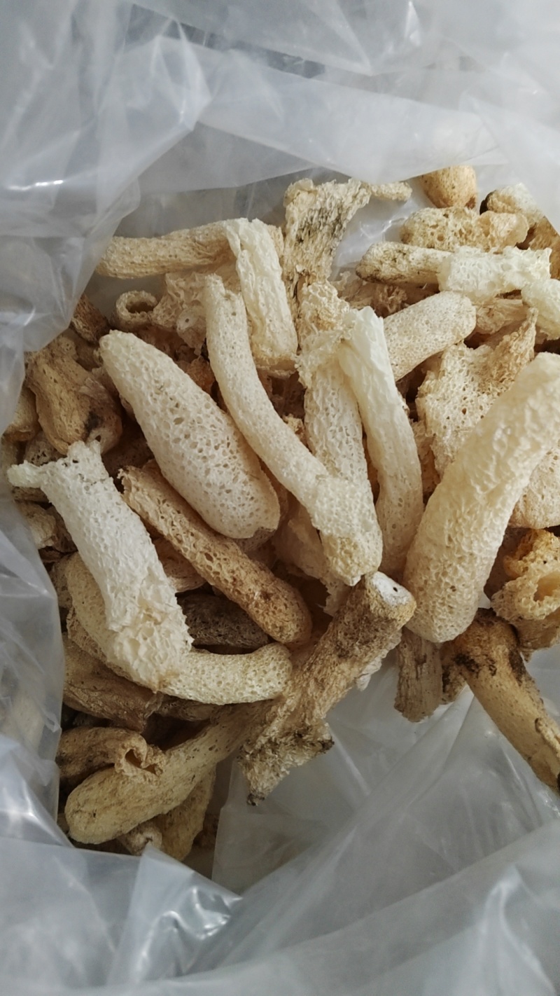 福建省古田县食用菌之都