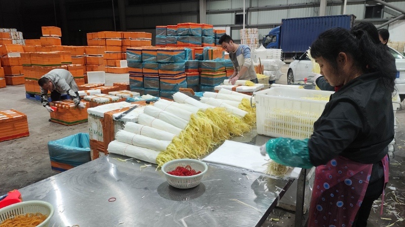 广西精品韭黄，新鲜种植，品质优良，货量充足，欢迎咨询