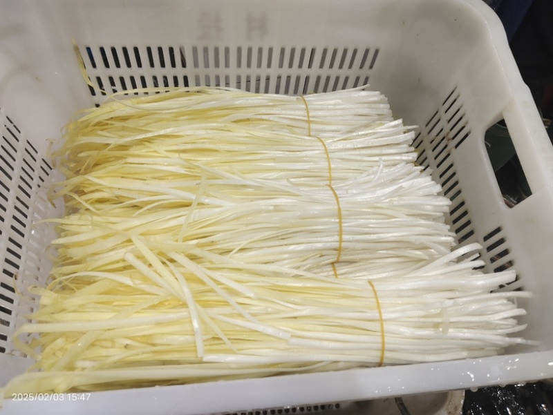 广西精品韭黄，新鲜种植，品质优良，货量充足，欢迎咨询