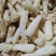 福建省古田县食用菌之都