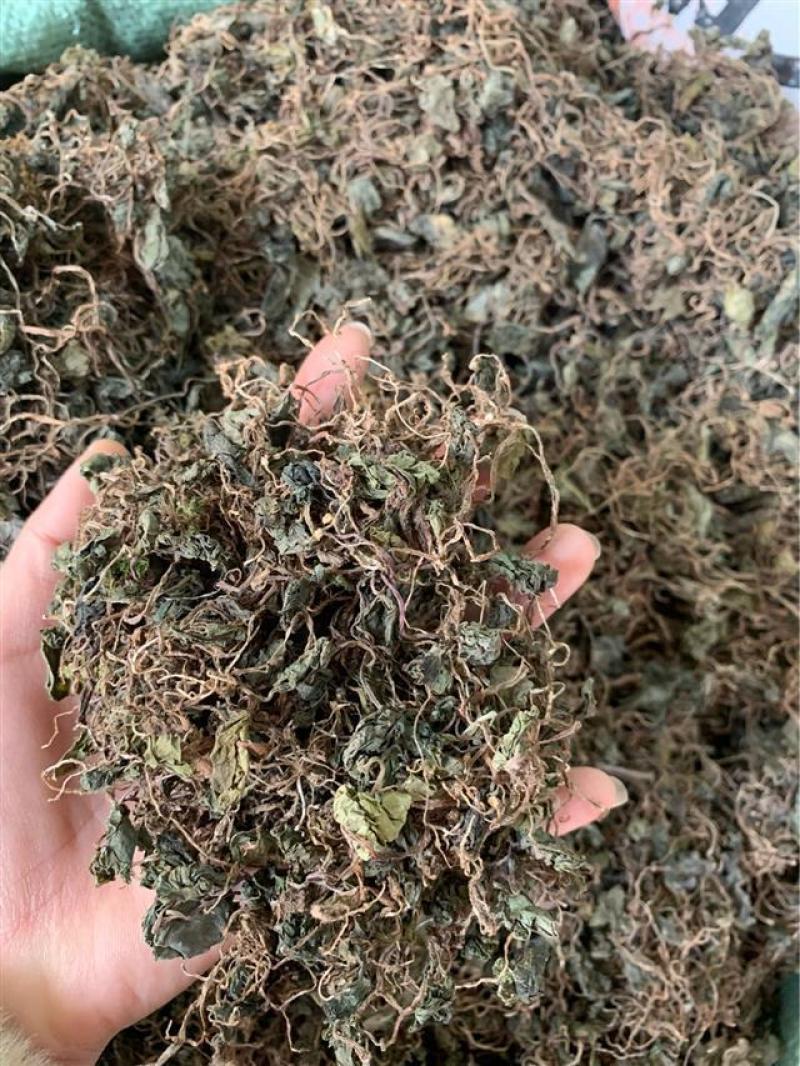 青天葵草1公斤独叶莲半边伞青天葵中药材初级农产品