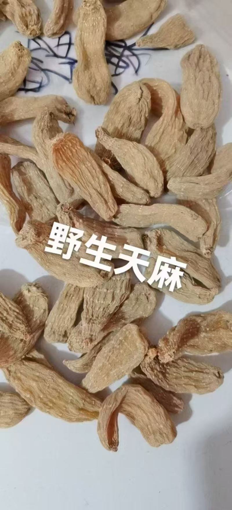 野生天麻大量货源保质保量欢迎电话联系