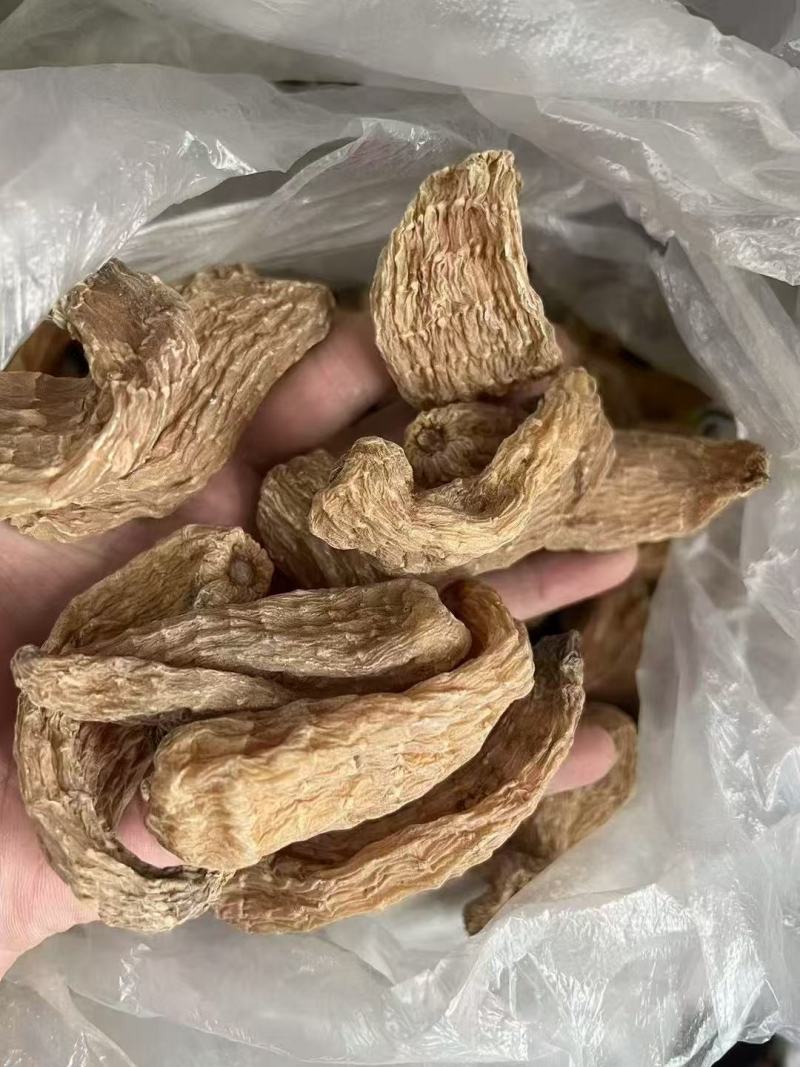 野生天麻大量货源保质保量欢迎电话联系
