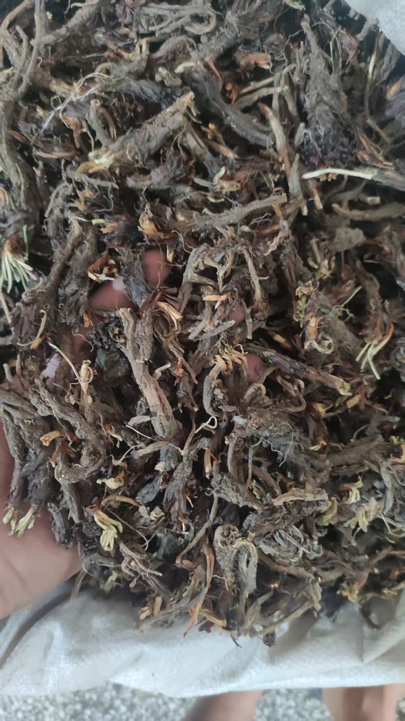 中药材干货甘松全草水洗甘松根品质保障量大价钱可议