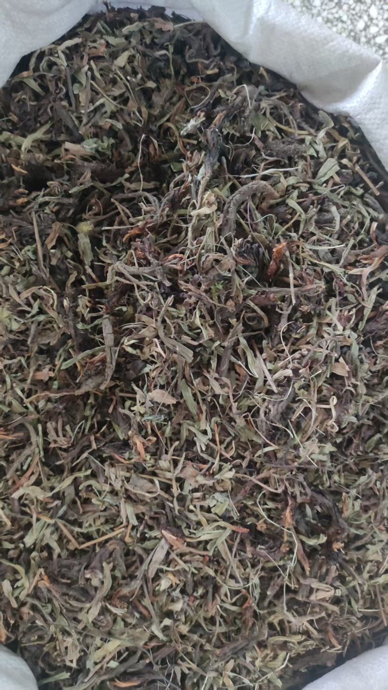 中药材干货甘松全草水洗甘松根品质保障量大价钱可议