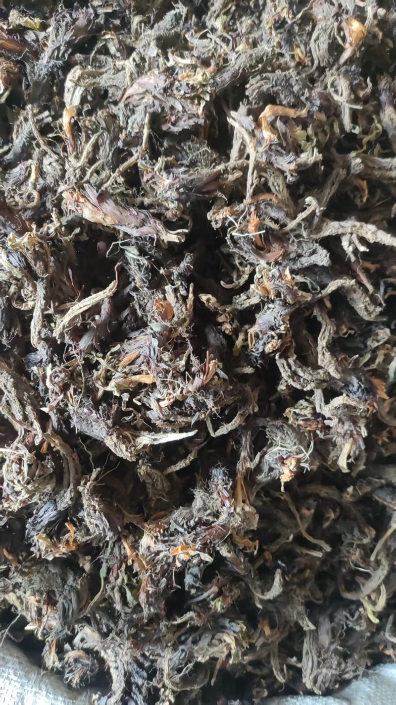 中药材干货甘松全草水洗甘松根品质保障量大价钱可议