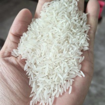 象牙香丝大米，日产100吨。长期大量有货