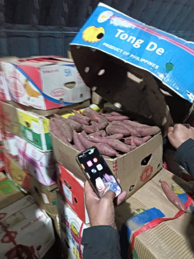 西瓜红大量供应