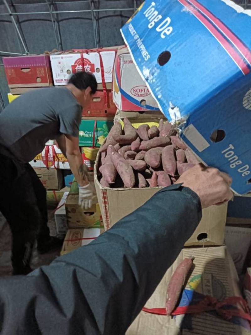 西瓜红大量供应