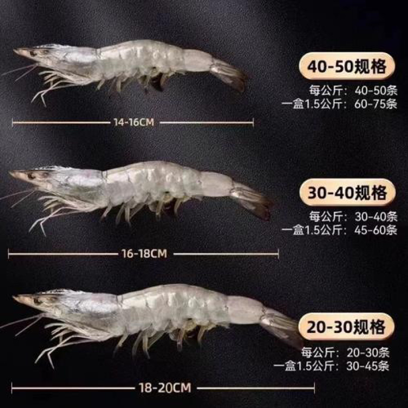 王牌盐冻白虾有量有价量大来谈年底冲量大量出