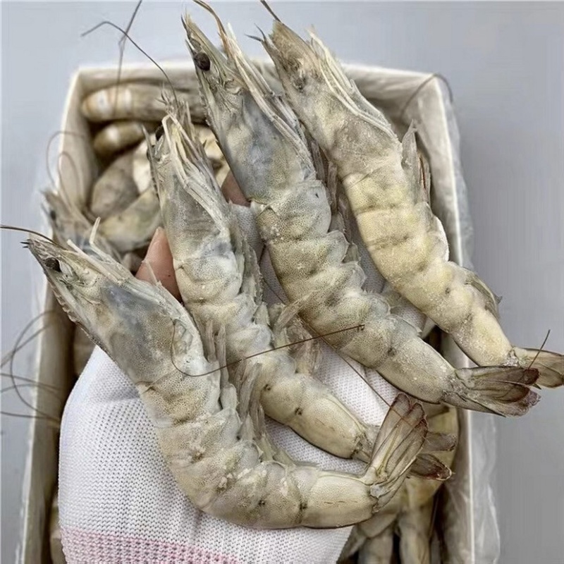 王牌盐冻白虾有量有价量大来谈年底冲量大量出