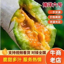 【优选】博洋六号精品产地直销，现摘现发可视频看货