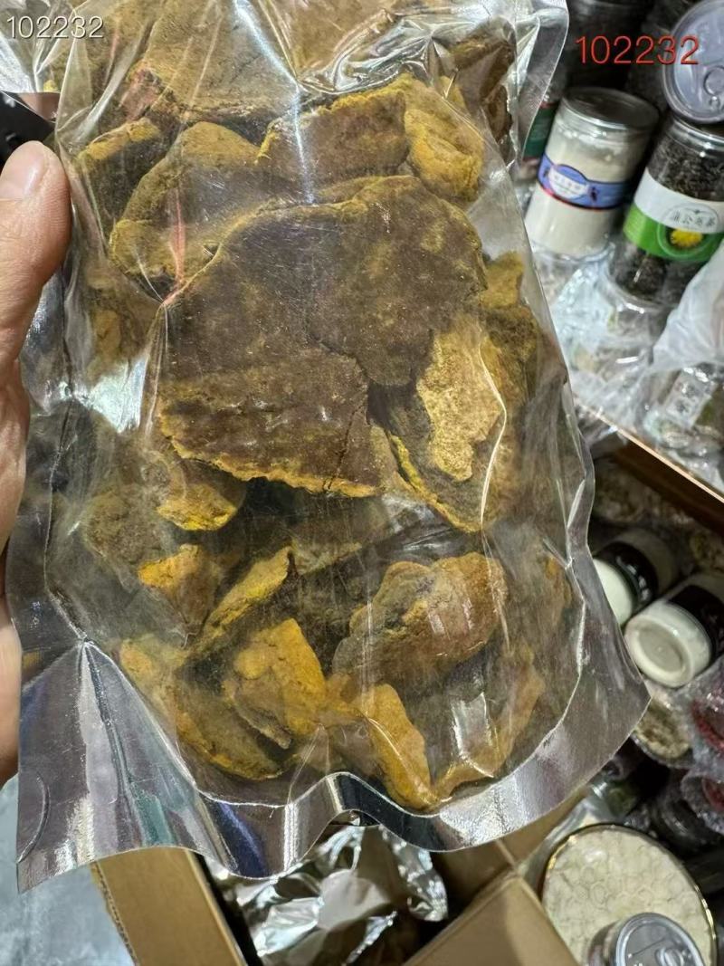 东北特产桑黄货源充足量大从优欢迎电话联系