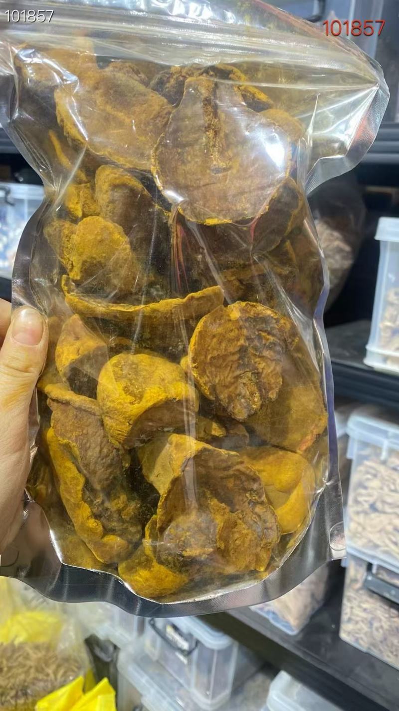 东北特产桑黄货源充足量大从优欢迎电话联系