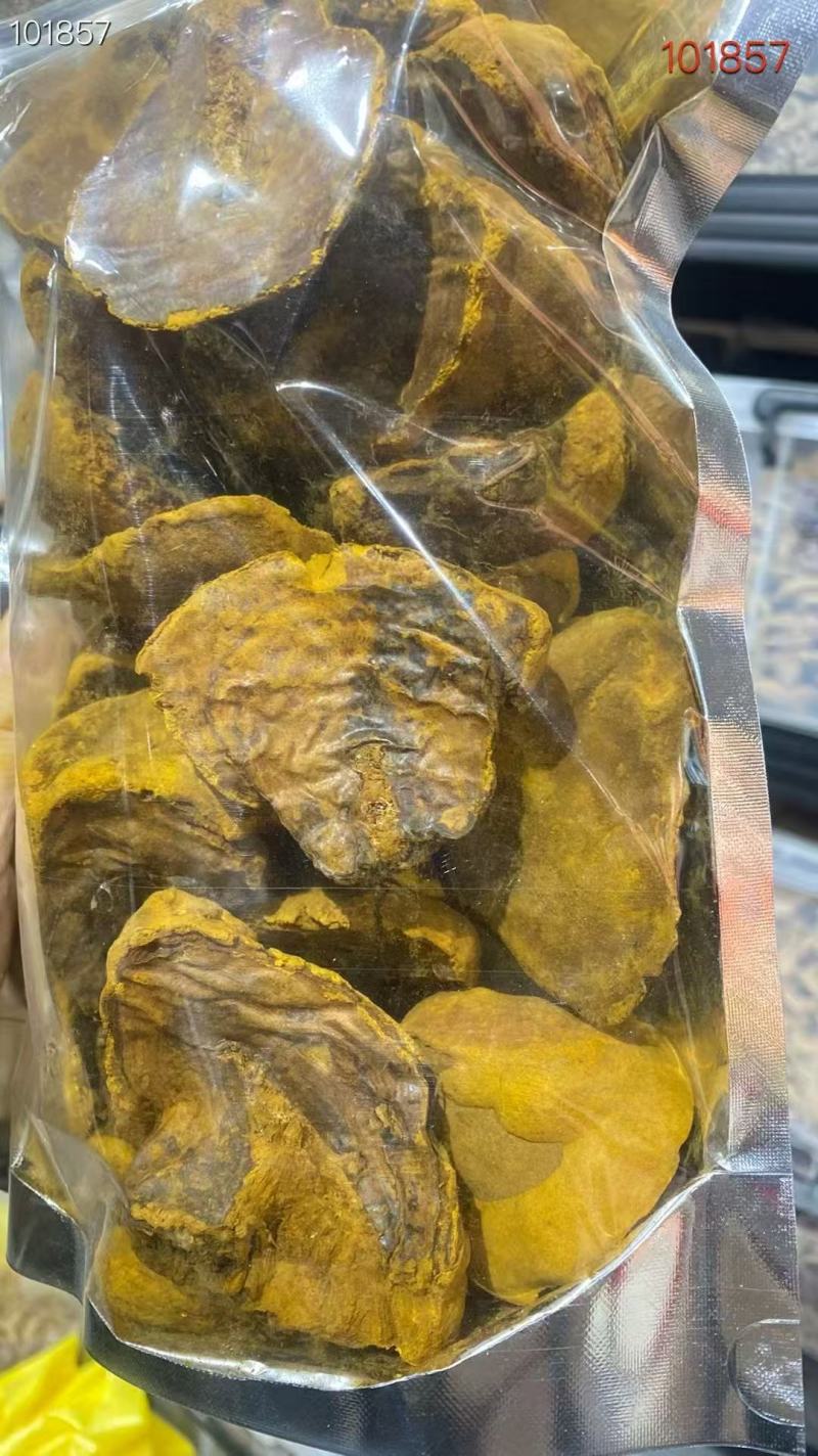 东北特产桑黄货源充足量大从优欢迎电话联系