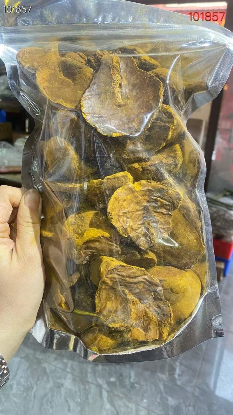 东北特产桑黄货源充足量大从优欢迎电话联系