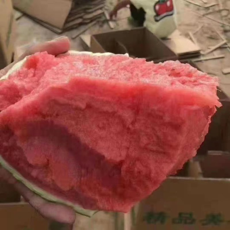 【麒麟西瓜】长治本地西瓜成熟了八九成刚刚好硬度好耐运输接