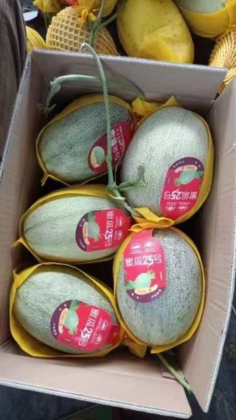 海南哈密瓜晓蜜25哈密瓜产地一手货源量大从优商超