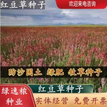 绿肥牧草红豆草驴食草蜜源固氮改善土壤防沙适应型强饲用畜禽