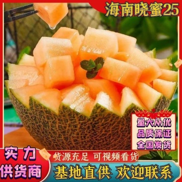 甘肃哈密瓜，大量供应，代发全国，保质保量，诚信经营