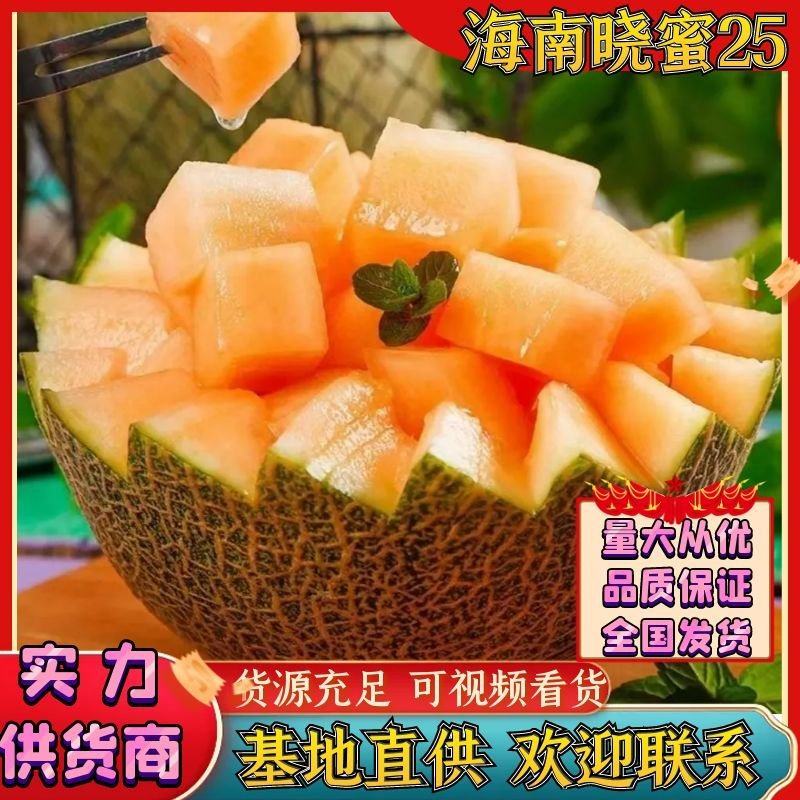 甘肃哈密瓜，大量供应，代发全国，保质保量，诚信经营