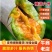 山东蜜甜瓜，大量供应，产地直销，大量上市，品牌博洋61