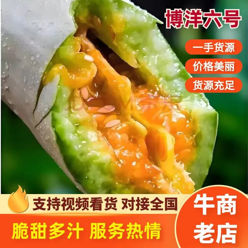 山东蜜甜瓜，大量供应，产地直销，大量上市，品牌博洋61