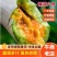 山东蜜甜瓜，大量供应，产地直销，大量上市，品牌博洋61