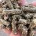 纯花生秧绿草颗粒,高温熟化颗粒,易储存消化