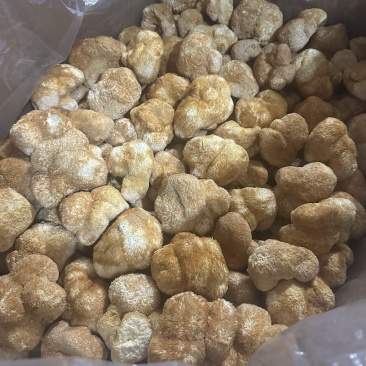 食用菌之都福建古田电商猴头菇酒店素食食材猴头菇干品出口