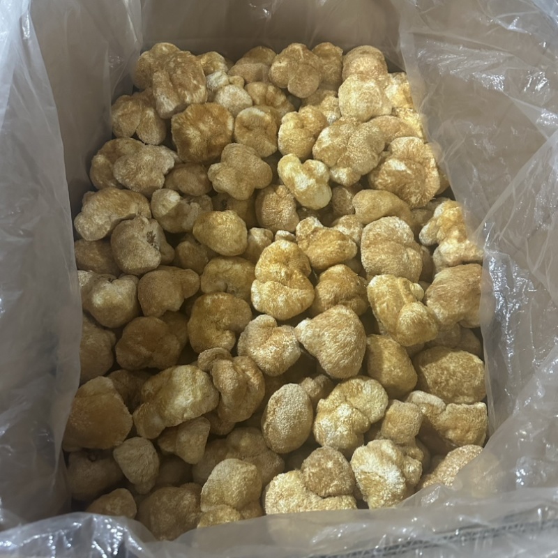 食用菌之都福建古田电商猴头菇酒店素食食材猴头菇干品出口