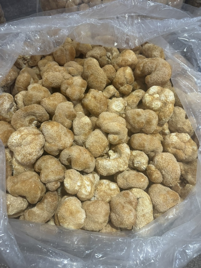 食用菌之都福建古田电商猴头菇酒店素食食材猴头菇干品出口
