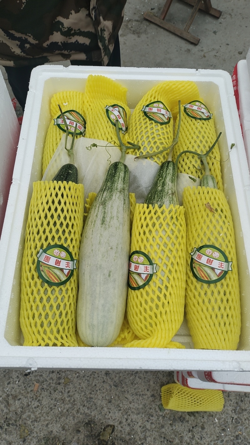 甜瓜