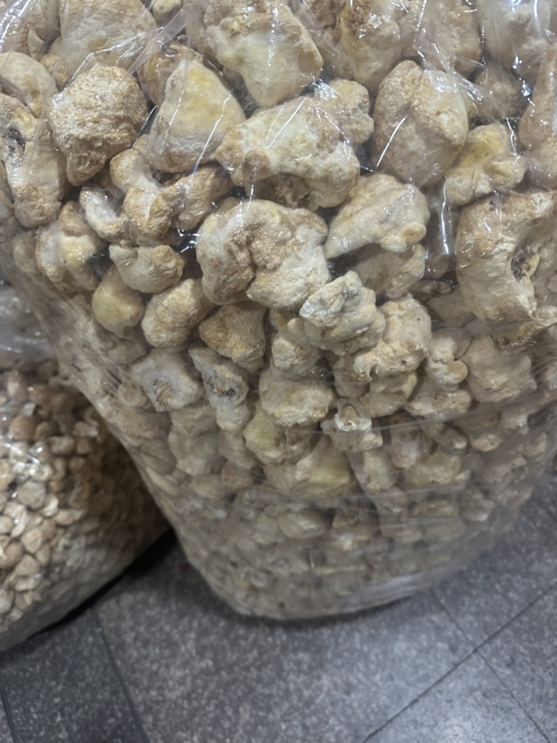 食用菌之都食品厂原料古田不带毛猴头磨粉新货上市