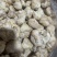 食用菌之都食品厂原料古田不带毛猴头磨粉新货上市