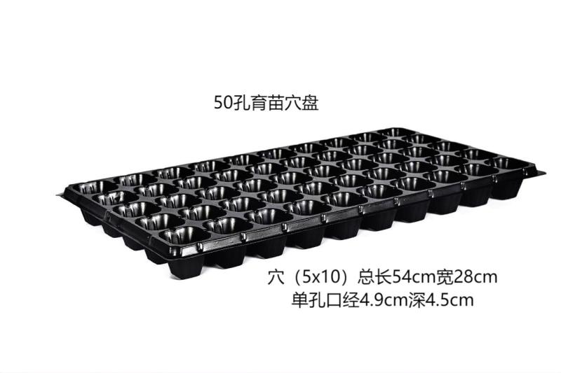 【推荐】四川育苗穴盘工厂直发量大从优规格齐全