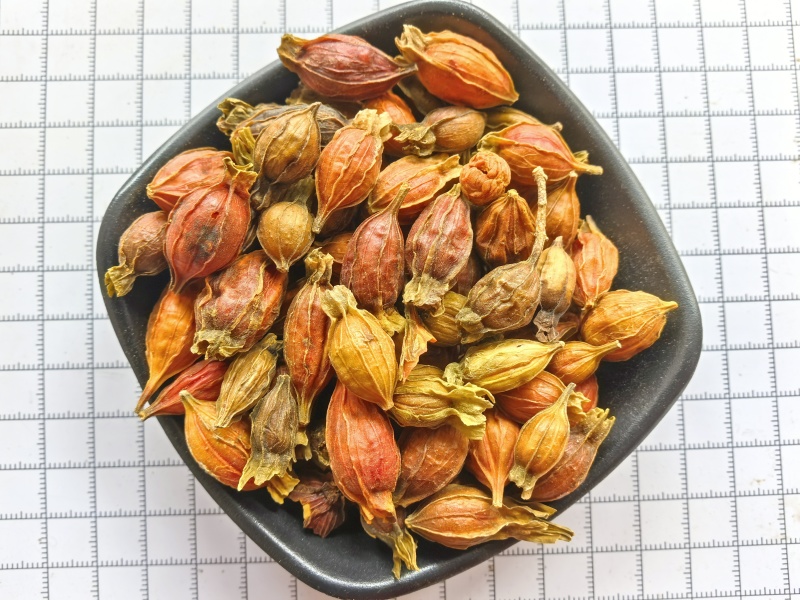 栀子中药材批发供应江西小栀子新货