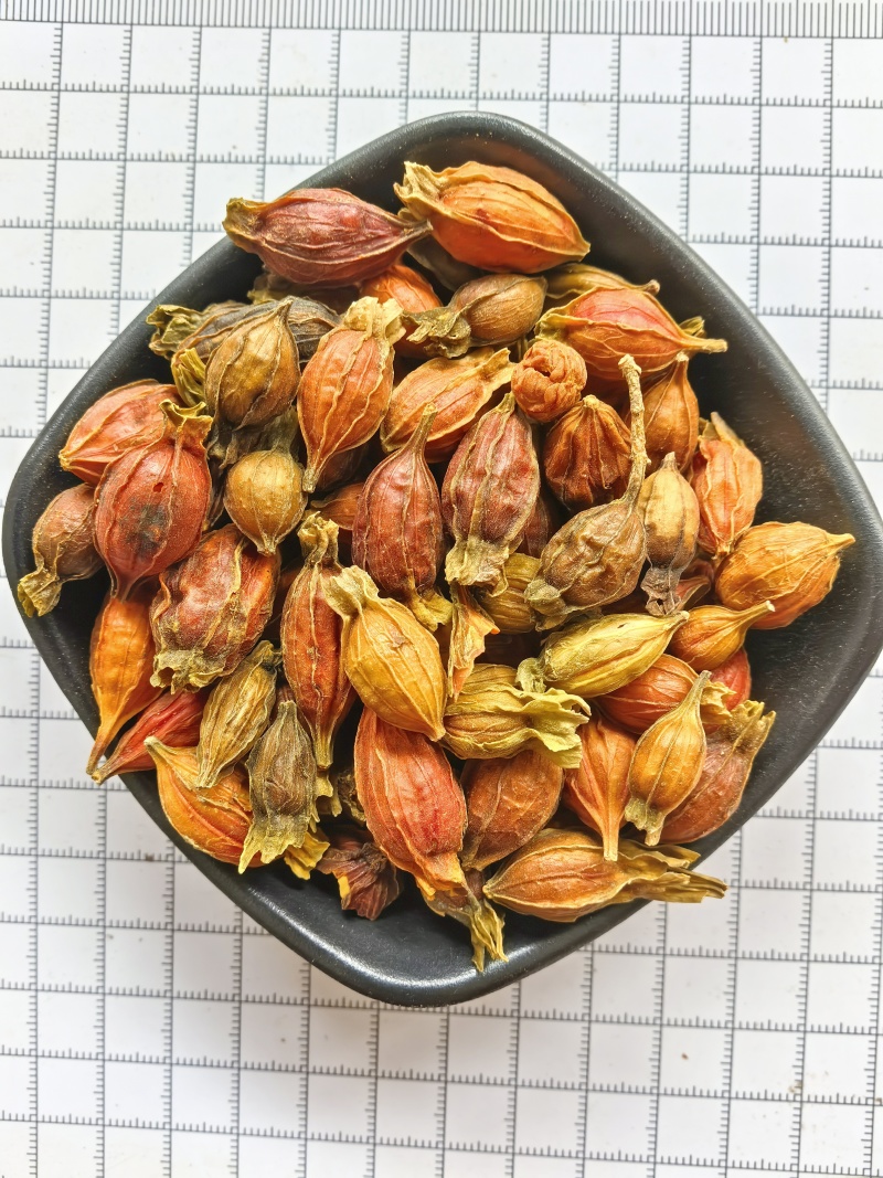 栀子中药材批发供应江西小栀子新货
